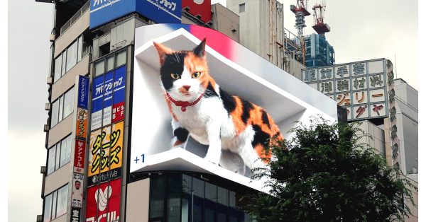 240515 3Dの巨大な猫「クロス新宿ビジョン」